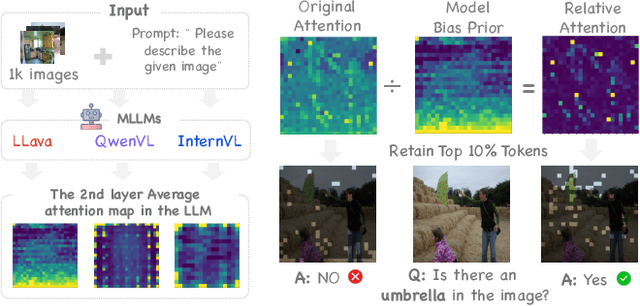 Figure 1 for D2Pruner: Debiased Importance and Structural Diversity for MLLM Token Pruning