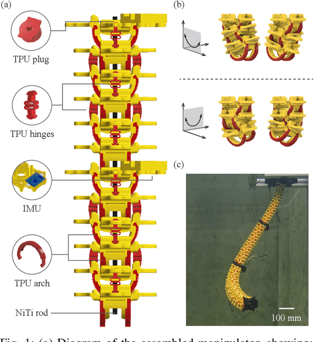 Figure 1 for Closed-Loop Control and Disturbance Mitigation of an Underwater Multi-Segment Continuum Manipulator