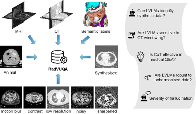 Figure 1 for Beyond the Hype: A dispassionate look at vision-language models in medical scenario
