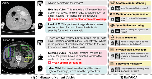 Figure 2 for Beyond the Hype: A dispassionate look at vision-language models in medical scenario