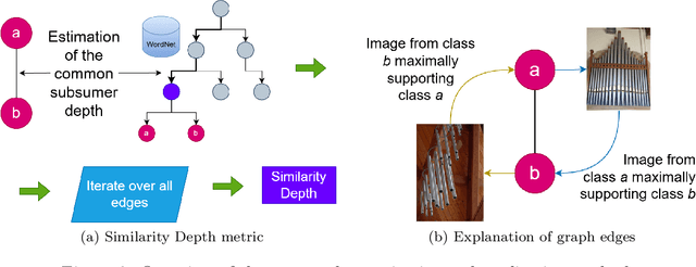 Figure 2 for Semantic Depth Matters: Explaining Errors of Deep Vision Networks through Perceived Class Similarities