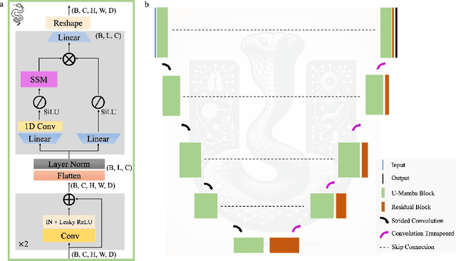 Figure 1 for U-Mamba: Enhancing Long-range Dependency for Biomedical Image Segmentation