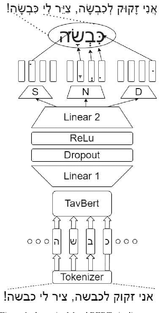 Figure 2 for MenakBERT -- Hebrew Diacriticizer