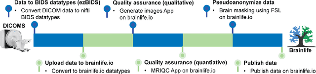 Figure 2 for A labeled Clinical-MRI dataset of Nigerian brains