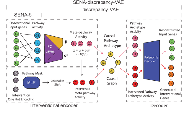 Figure 1 for Interpretable Causal Representation Learning for Biological Data in the Pathway Space