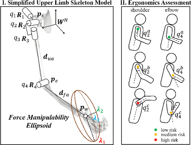 Figure 3 for Integrating Ergonomics and Manipulability for Upper Limb Postural Optimization in Bimanual Human-Robot Collaboration