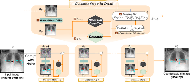 Figure 3 for DeCoDEx: Confounder Detector Guidance for Improved Diffusion-based Counterfactual Explanations