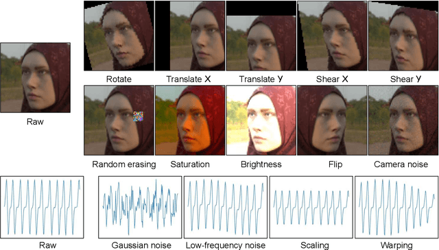 Figure 1 for Training Robust Deep Physiological Measurement Models with Synthetic Video-based Data