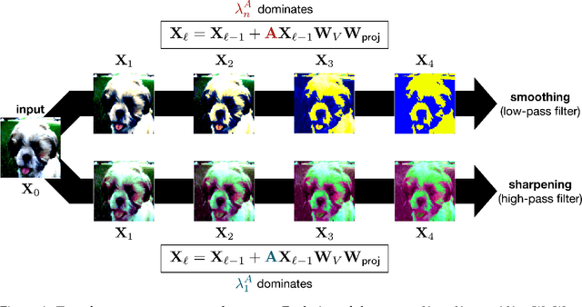 Figure 1 for Setting the Record Straight on Transformer Oversmoothing
