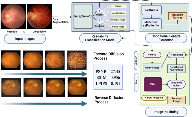 Figure 1 for RetinaRegen: A Hybrid Model for Readability and Detail Restoration in Fundus Images