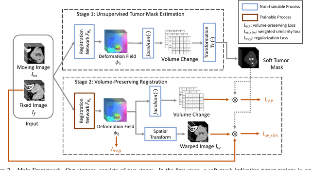 Figure 3 for Preserving Tumor Volumes for Unsupervised Medical Image Registration