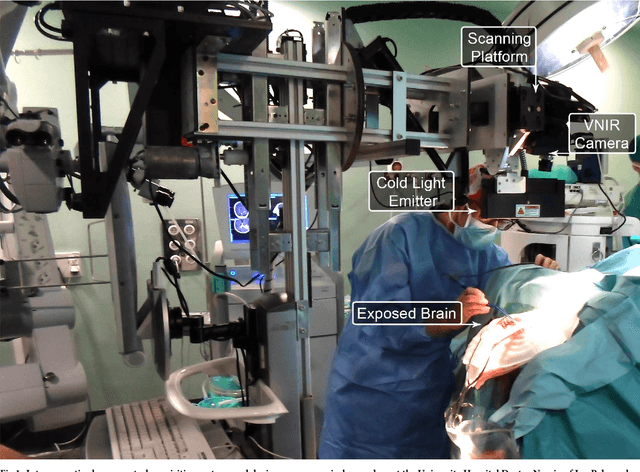 Figure 1 for Spatio-spectral classification of hyperspectral images for brain cancer detection during surgical operations