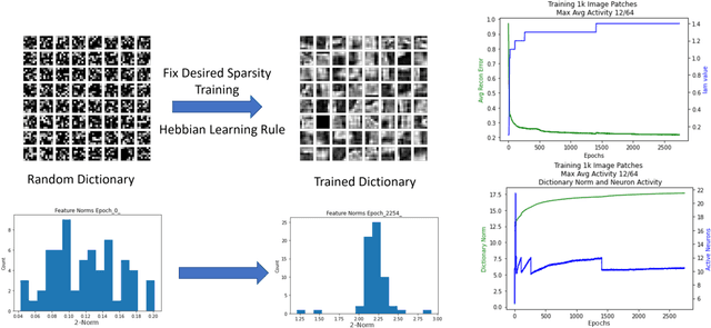 Figure 1 for Sampling binary sparse coding QUBO models using a spiking neuromorphic processor