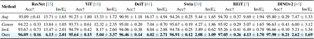 Figure 4 for Local Scale Equivariance with Latent Deep Equilibrium Canonicalizer