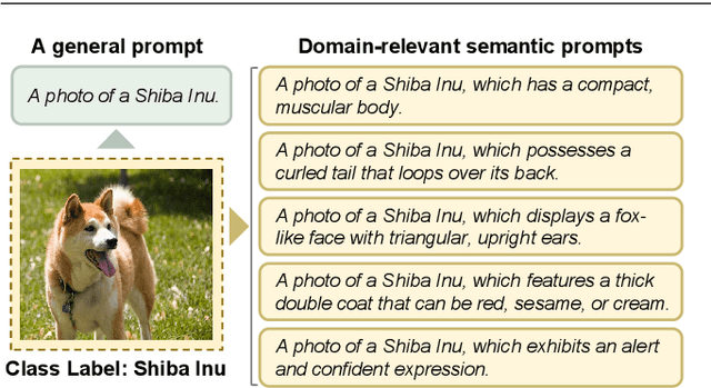 Figure 1 for AmPLe: Supporting Vision-Language Models via Adaptive-Debiased Ensemble Multi-Prompt Learning