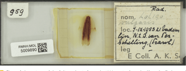 Figure 1 for Knowledge Engineering using Large Language Models