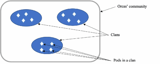 Figure 1 for A Three-Phase Artificial Orcas Algorithm for Continuous and Discrete Problems