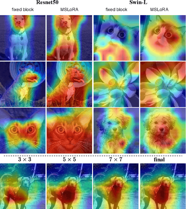 Figure 1 for MSLoRA: Multi-Scale Low-Rank Adaptation via Attention Reweighting