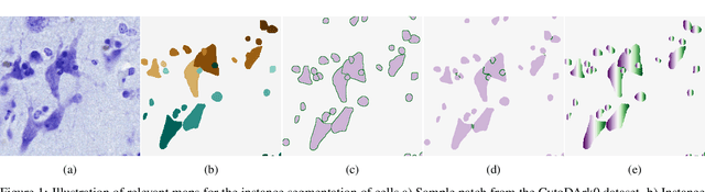 Figure 1 for CISCA and CytoDArk0: a Cell Instance Segmentation and Classification method for histo(patho)logical image Analyses and a new, open, Nissl-stained dataset for brain cytoarchitecture studies