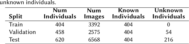 Figure 1 for DS@GT AnimalCLEF: Triplet Learning over ViT Manifolds with Nearest Neighbor Classification for Animal Re-identification