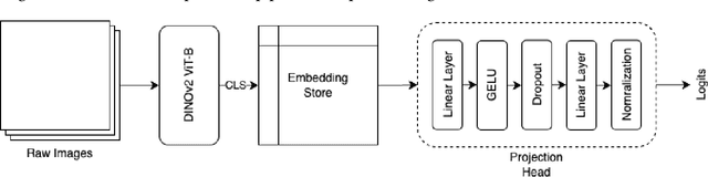Figure 4 for DS@GT AnimalCLEF: Triplet Learning over ViT Manifolds with Nearest Neighbor Classification for Animal Re-identification