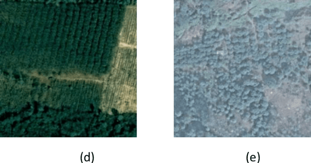 Figure 3 for EcoCropsAID: Economic Crops Aerial Image Dataset for Land Use Classification