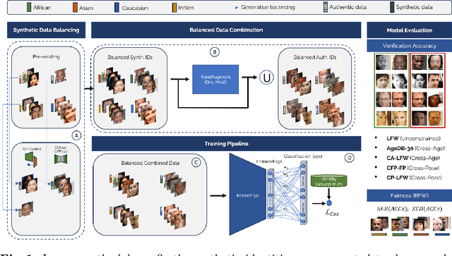 Figure 1 for The Impact of Balancing Real and Synthetic Data on Accuracy and Fairness in Face Recognition
