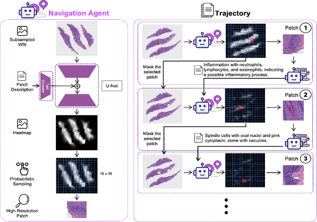 Figure 4 for PathFinder: A Multi-Modal Multi-Agent System for Medical Diagnostic Decision-Making Applied to Histopathology
