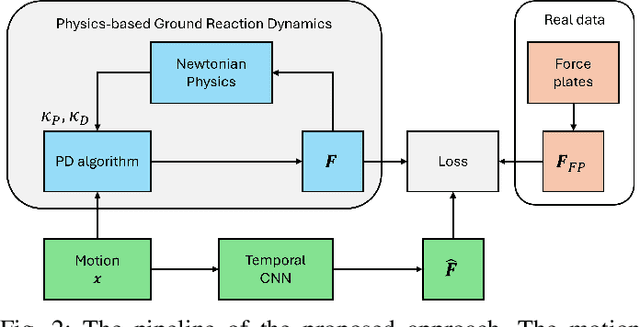 Figure 1 for Physics-informed Ground Reaction Dynamics from Human Motion Capture