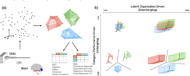 Figure 1 for Probing Biological and Artificial Neural Networks with Task-dependent Neural Manifolds