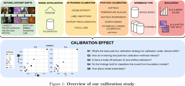 Figure 1 for Where are we with calibration under dataset shift in image classification?