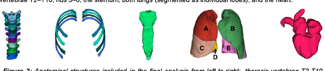 Figure 3 for In search of truth: Evaluating concordance of AI-based anatomy segmentation models
