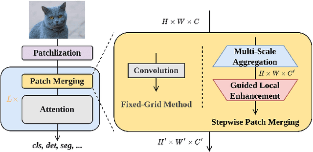 Figure 1 for Brain-Inspired Stepwise Patch Merging for Vision Transformers