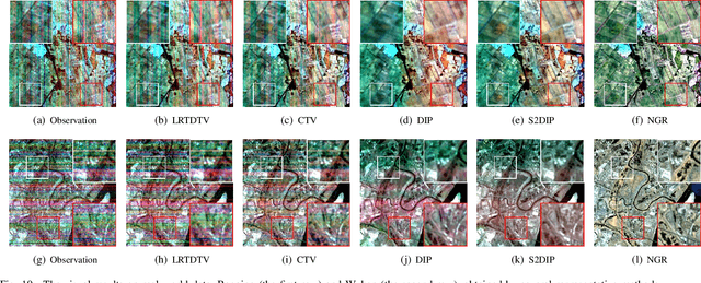 Figure 2 for Neural Gradient Regularizer