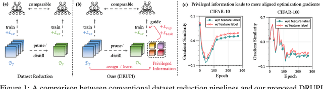 Figure 1 for DRUPI: Dataset Reduction Using Privileged Information