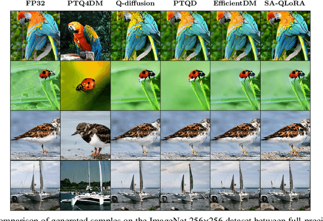 Figure 1 for Quantizing Diffusion Models from a Sampling-Aware Perspective