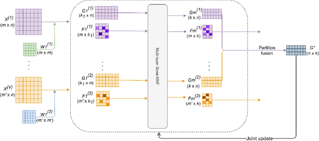 Figure 1 for Deep Matrix Factorization with Adaptive Weights for Multi-View Clustering