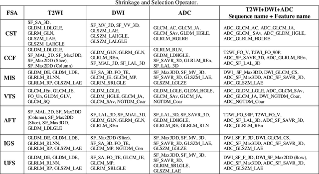 Figure 3 for Biological and Radiological Dictionary of Radiomics Features: Addressing Understandable AI Issues in Personalized Prostate Cancer; Dictionary version PM1.0