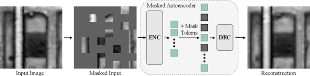 Figure 1 for Masked Autoencoder Self Pre-Training for Defect Detection in Microelectronics