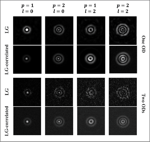 Figure 4 for Deep learning and random light structuring ensure robust free-space communications