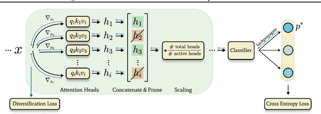 Figure 1 for Learning Diverse Features in Vision Transformers for Improved Generalization