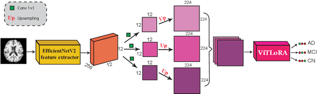 Figure 1 for EffNetViTLoRA: An Efficient Hybrid Deep Learning Approach for Alzheimer's Disease Diagnosis