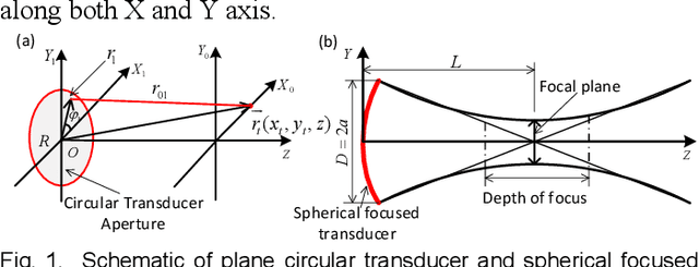 Figure 1 for HSD-PAM: High Speed Super Resolution Deep Penetration Photoacoustic Microscopy Imaging Boosted by Dual Branch Fusion Network