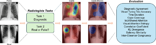Figure 1 for Eyes Tell the Truth: GazeVal Highlights Shortcomings of Generative AI in Medical Imaging