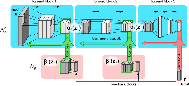 Figure 1 for Block-local learning with probabilistic latent representations