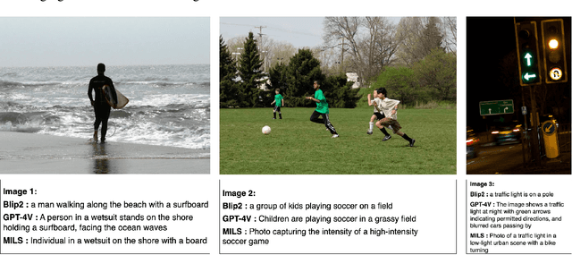 Figure 2 for Zero-Shot, But at What Cost? Unveiling the Hidden Overhead of MILS's LLM-CLIP Framework for Image Captioning