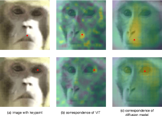 Figure 3 for Categorical Keypoint Positional Embedding for Robust Animal Re-Identification