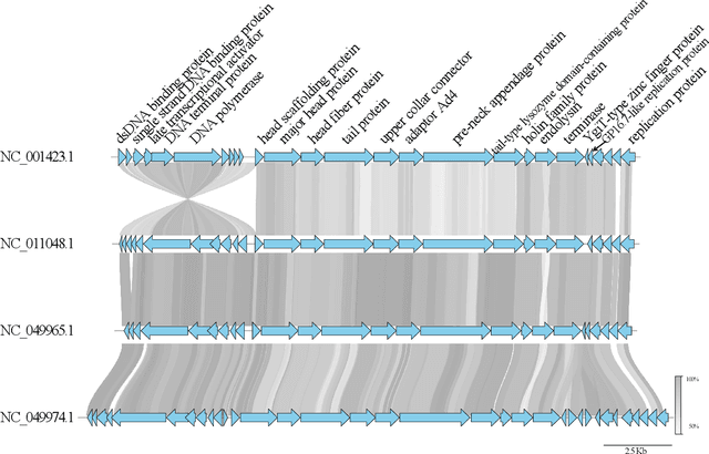 Figure 2 for PhaGO: Protein function annotation for bacteriophages by integrating the genomic context