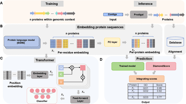 Figure 4 for PhaGO: Protein function annotation for bacteriophages by integrating the genomic context