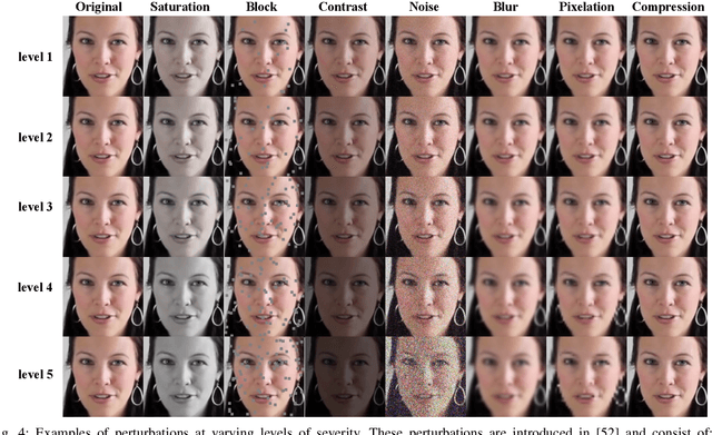 Figure 4 for BENet: A Cross-domain Robust Network for Detecting Face Forgeries via Bias Expansion and Latent-space Attention